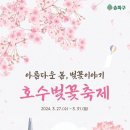 [코드엠] 아름다운 봄, 벚꽃이야기 호수벚꽃축제 이미지