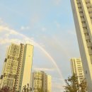 노니살롱 이미지