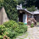 교동다원 이미지