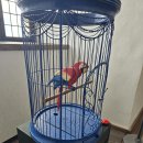 성은주유소 | 사기와 힐링이 난무했던 북유럽 여행기 - 1. 덴마크에서 절대 렌트하면 안 되는 이유