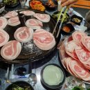 니가사는고기
