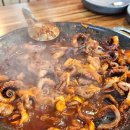 꼬불로꼬불로 쭈꾸미 이미지