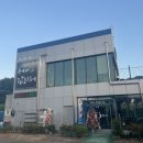 윤이네갑오징어