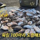 보령 5형제섬 월도 갑오징어 낚시 이미지