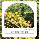 도당초등학교 | 5~6월 가볼만한곳 부천 백만송이장미축제 일정 및 주차정보 5월 26일 기준 장미개화 상황
