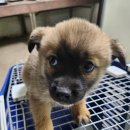 두릉1리마을회관 이미지