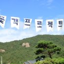 핑크뮬리 - 서초구 | 핑크뮬리