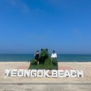 강원) 강릉 숙소 : &#39;풀앤메종(Pool &amp; Maison)&#39; 단체 풀빌라 독채 펜션 후기