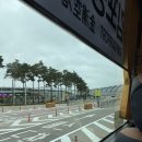 바르고부치고 | 오키나와] 오키나와행 아시아나 OZ172 & OZ171편 탑승 후기 ✈️ (2터미널 환전, 비행기 좌석, 기내식 등)
