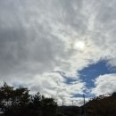 평림댐장미공원 | <테마공원 / 전남 장성 평림댐 명품 장미공원 아이와 함께 가을나들이>