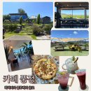 풍정 | 나주 가볼만한 곳 블루베리 피자가 유명한 카페 풍정.내돈내산 피자 블루베리 음료 후기