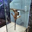 애벌레도서관 | 200% 즐기기 스타필드 주차, 팝업스토어 여주 곤충 박물관, 스타필드 맛집 효뜨 별마당도서관 방문 후기