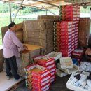 와룡농장 이미지