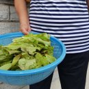 여남경로당 이미지