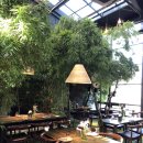 Bamboo 뱀부