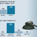 조요소 이미지