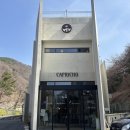 가온누리 | 부산애견카페 만덕대형카페 추천 애견운동장 있는 카프리초