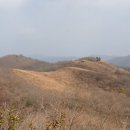 무룡고개 3쉼터 | 장수 장안산, 영취산 등산 코스: 무룡고개 주차장과 억새밭 포토존