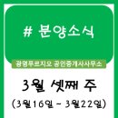 광교e편한테라스공인중개사사무소 | 분양정보 (3월 셋째 주)