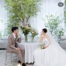 더스냅스튜디오