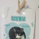 구리유통종합시장수산동 반려동물 문화센타 | 구리시 반려돌봄센터, 단순 보호소가 아니라 삶을 바꾸는 공간이었다