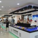 아이돌 스타 이미지