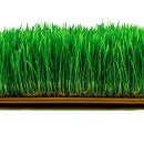 중년과새싹 이미지