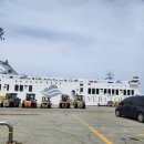 펫클라우드 | [제주도] 완도에서 배타고 강아지와 제주도 여행, 실버클라우드 스페셜펫룸 후기