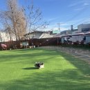 댕댕이 운동장 | [ 경기도 광주 애견운동장 ] 위드댕댕이 내돈내산 솔직후기