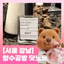 닷플레이스 | 서울 강남 향수공방 닷노트 후기｜가격·제작 과정·신논현역 위치