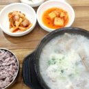 토속다인 이미지