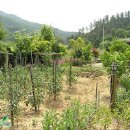 아름드리펜션 이미지