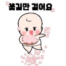 총각네시장횟집