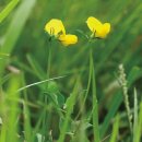 성은비료 이미지