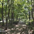 성남대로 이미지