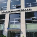 샤인아이안과동물병원 | [내돈내산] 서울 샤인아이안과동물병원 찐 후기 강아지 선천성백내장 진단