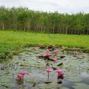 김광석 농장 이미지