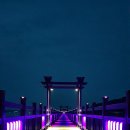 신안별빛 이미지