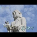 대구 mbc 생방송 시시각각 '부처님 오신 날 동화사 봉축 법요식' (2022.5.11) 이미지