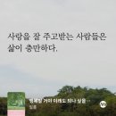 일홍 이미지
