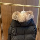 마로니에르 이미지