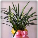 대구자동차상사 이미지