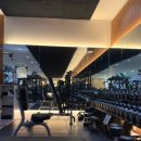 백퍼센트 이미지