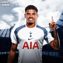 화이트특급 이미지