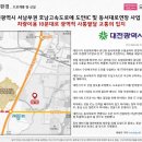 도안982