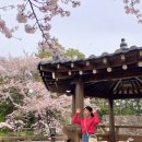 대흘보건진료소 네이버블로그