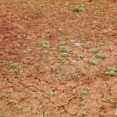 신선농장 이미지