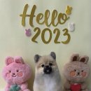 그루머솔 이미지