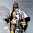 WWE SUPERSTARS_Macho man Randy Savege 이미지