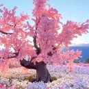 한양에이스마취통증의학과의원 이미지